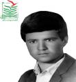مهدی اژدری