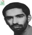 محسن زارعی طوسی