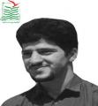 وحید شادیفر