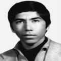 علی محمودی