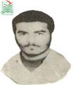 تیمور شریفی