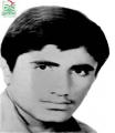 سیدایلیا سجادی