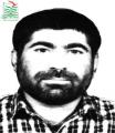 محسن رستمی