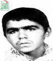 سید مهنا رام نژاد