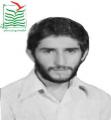 حسن ساده