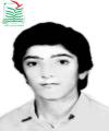 سید عبدالرحمن شجاع الدین