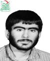 محمد رضائی