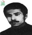 ناصر میرزا کوچکی