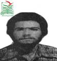 سیامک کبیری