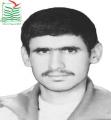 علیرضا سلطانی