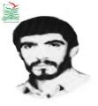 حکمت بالیده
