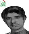 بهبود نور علی