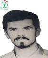 امیر طلایی