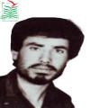 تقی حسینی