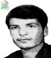 باقر تیما