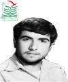 حمید بهادربیگی