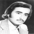مجید قاسم نژاد