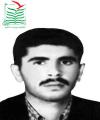 علیرضا احمدی