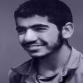 ناصرالدین باغانی