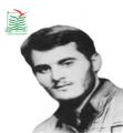 حسن رحیم پور