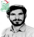 محمود سهرابی