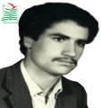 محمدرضا احمدی