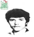 حمید هاشمی هوجقان