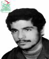 هادی توفیقی