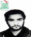 محمد حبیبی پور
