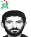 سیاوش رحیمی