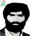 نقی صنایع پرکار