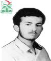 محمدرضا شاه حسینی