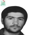 هادی شریفی