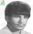 نظرعلی دریکوند