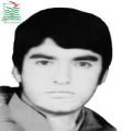 محمد تقی باقری