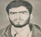 سیدمحمد شکری