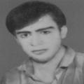 فتح الله شاهی مریدی