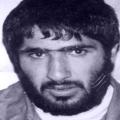 ناصر فولادی