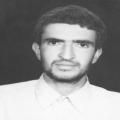 رضا عباسی
