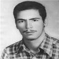 محمود بدیعی