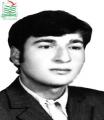 محمدرضا هادی