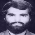 محمود شهبازی