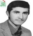 سیدمحمدرضا طیبی