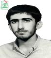 سیدمجتبی طباطبایی نیم آور
