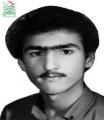 محمود ادیبی پور