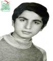 سیدمرتضی آرش راد