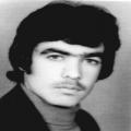 محمدرضا پوراشراقی