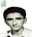 سیدمجتبی رضوی دهقی