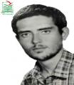 حمید شفریی