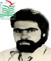 ایوب معادی